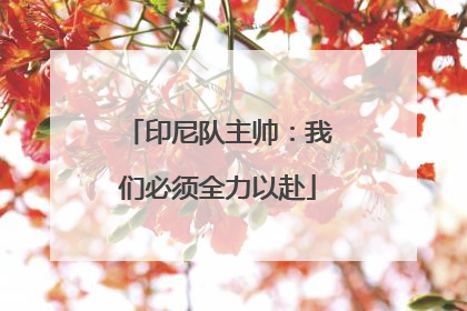 印尼队主帅：我们必须全力以赴
